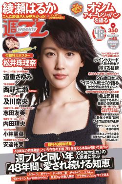 把爱带回家电视剧